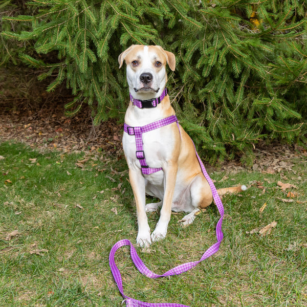 Purple Houndstooth Dog Leash