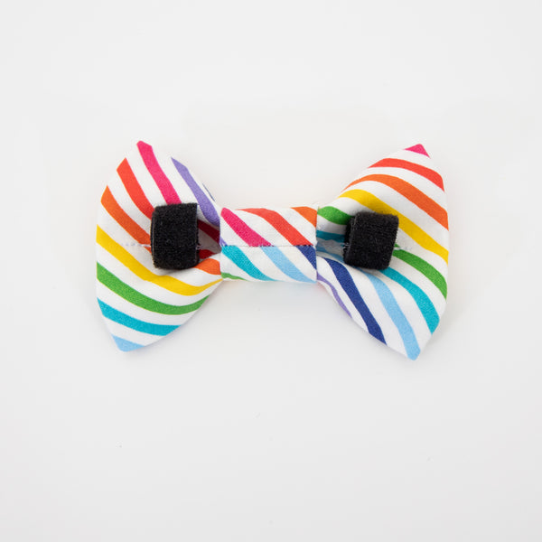Rainbow Stripes Dog Bow Tie