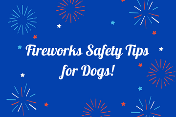 Fireworks Safety Tips for Dogs!