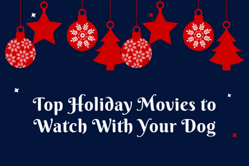 Top Holiday Movies to Watch With Your Dog