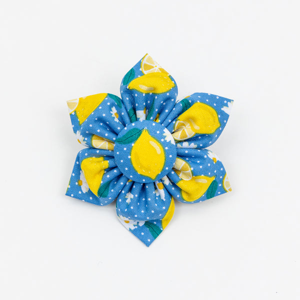 Lemons on Blue Dog Collar Flower