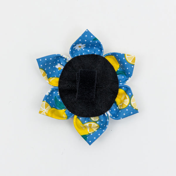 Lemons on Blue Dog Collar Flower