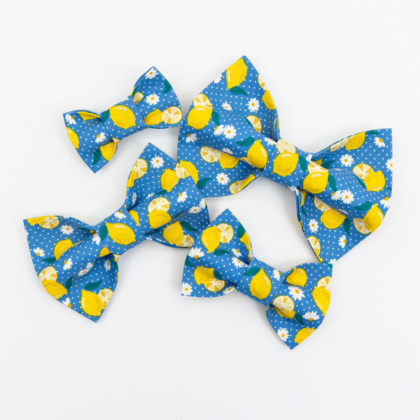Lemons on Blue Dog Bow Tie