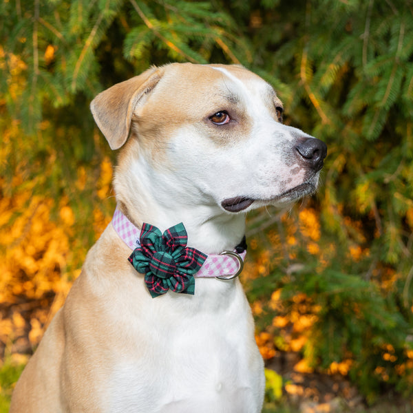 Green Tartan Plaid Dog Collar Flower