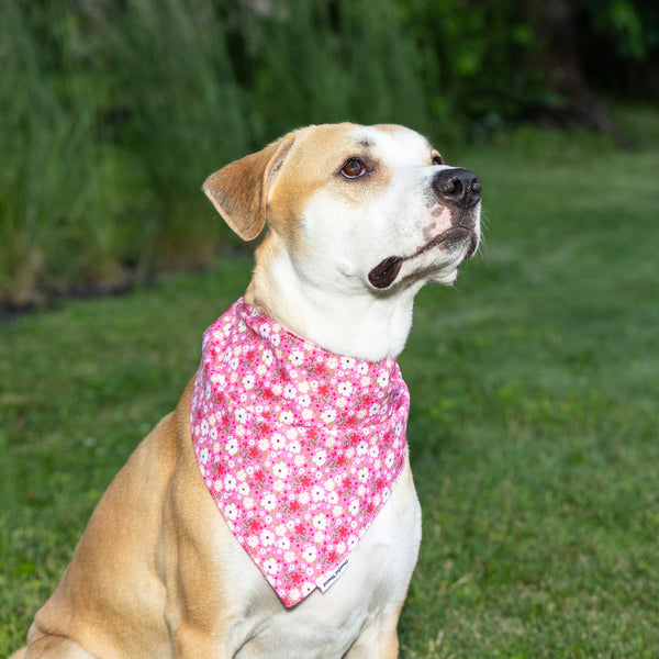 Pink Ditsy Floral and Pink Pin Dot Dog Bandana