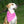 Load image into Gallery viewer, Pink Ditsy Floral and Pink Pin Dot Dog Bandana
