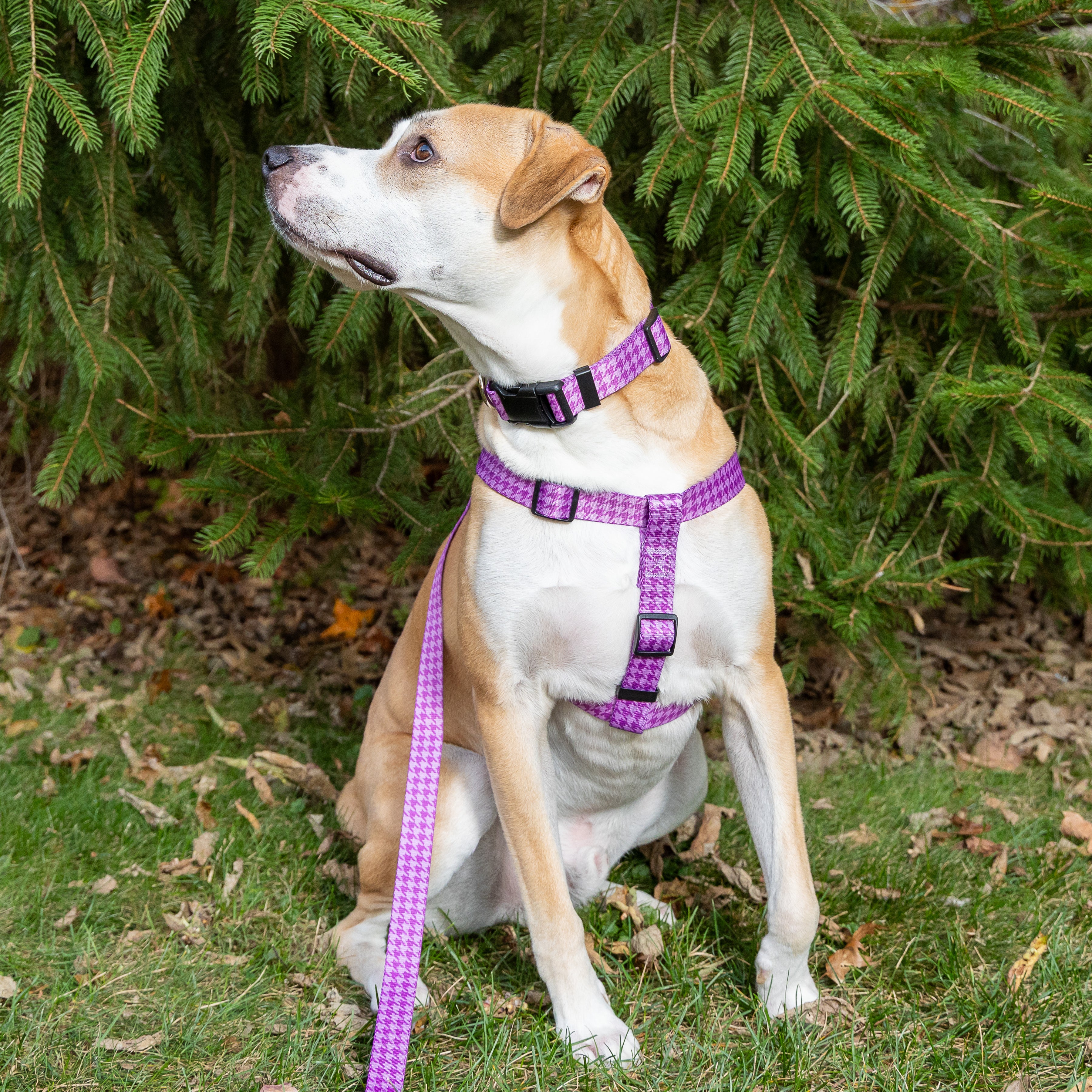 Purple Houndstooth Dog Step-in Harness – Cheerful Hound