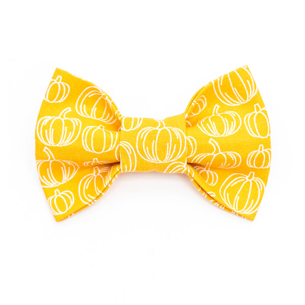 Pumpkins on Gold Dog Bow Tie