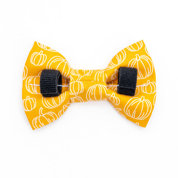 Pumpkins on Gold Dog Bow Tie