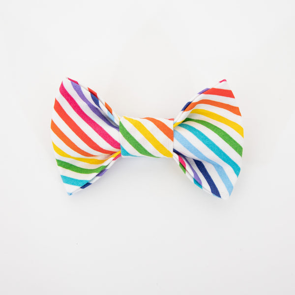 Rainbow Stripes Dog Bow Tie