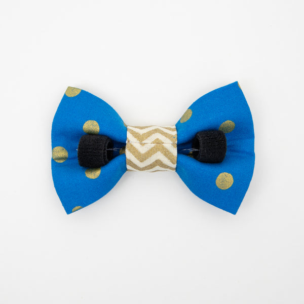 Gold Dots on Blue Dog Bow Tie
