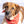 Load image into Gallery viewer, Naughty &amp; Nice Dog Bandana
