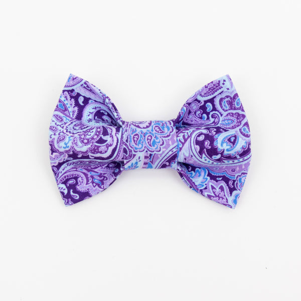 Purple Paisley Dog Bow Tie - Medium Only