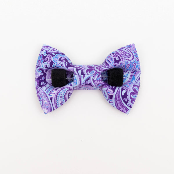 Purple Paisley Dog Bow Tie - Medium Only