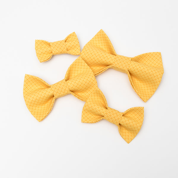 Yellow Diamond Dog Bow Tie