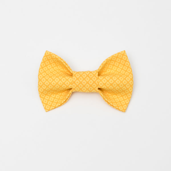 Yellow Diamond Dog Bow Tie
