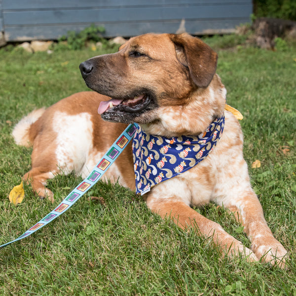 Squirrels in Sweaters Dog Bandana - XS Size Only