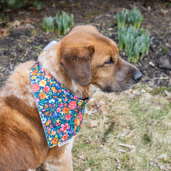 Green Bay Packers Heart Dog Bandana