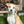 Load image into Gallery viewer, Garden Plaid Dog Bow Tie
