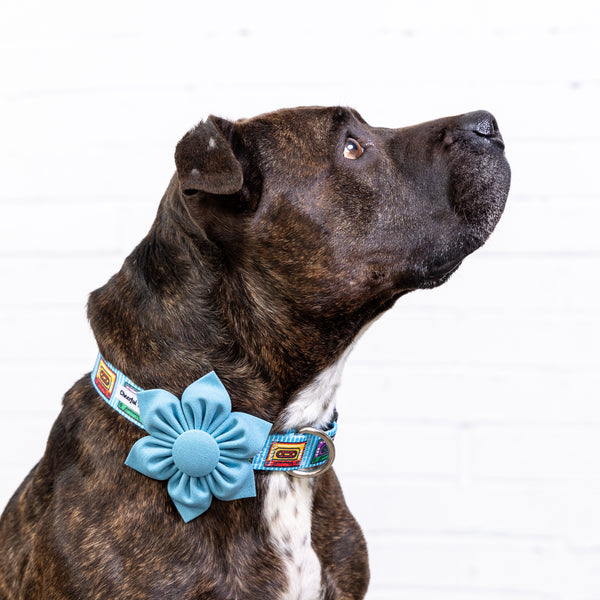 Slate Blue Linen Dog Collar Flower
