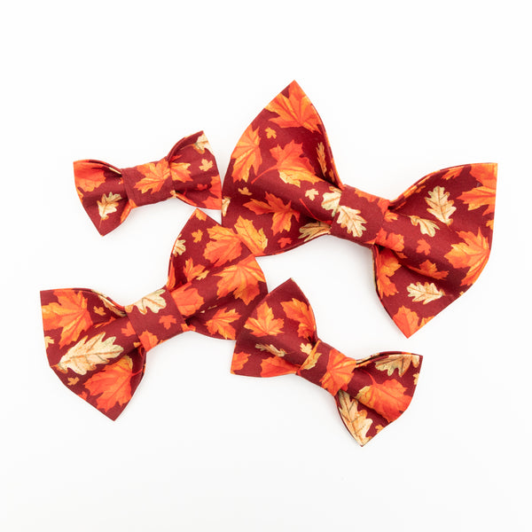 Autumn Leaves Dog Bow Tie