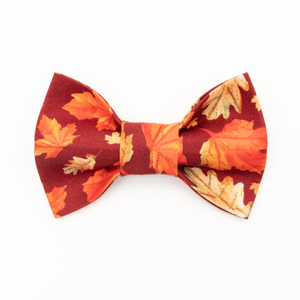 Autumn Leaves Dog Bow Tie