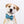 Load image into Gallery viewer, Slate Blue Linen Dog Bow Tie
