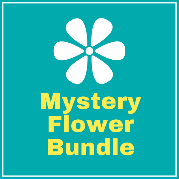 Mystery Collar Flower Bundle - 3 Pack
