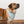 Load image into Gallery viewer, Nautical Dog Bandana
